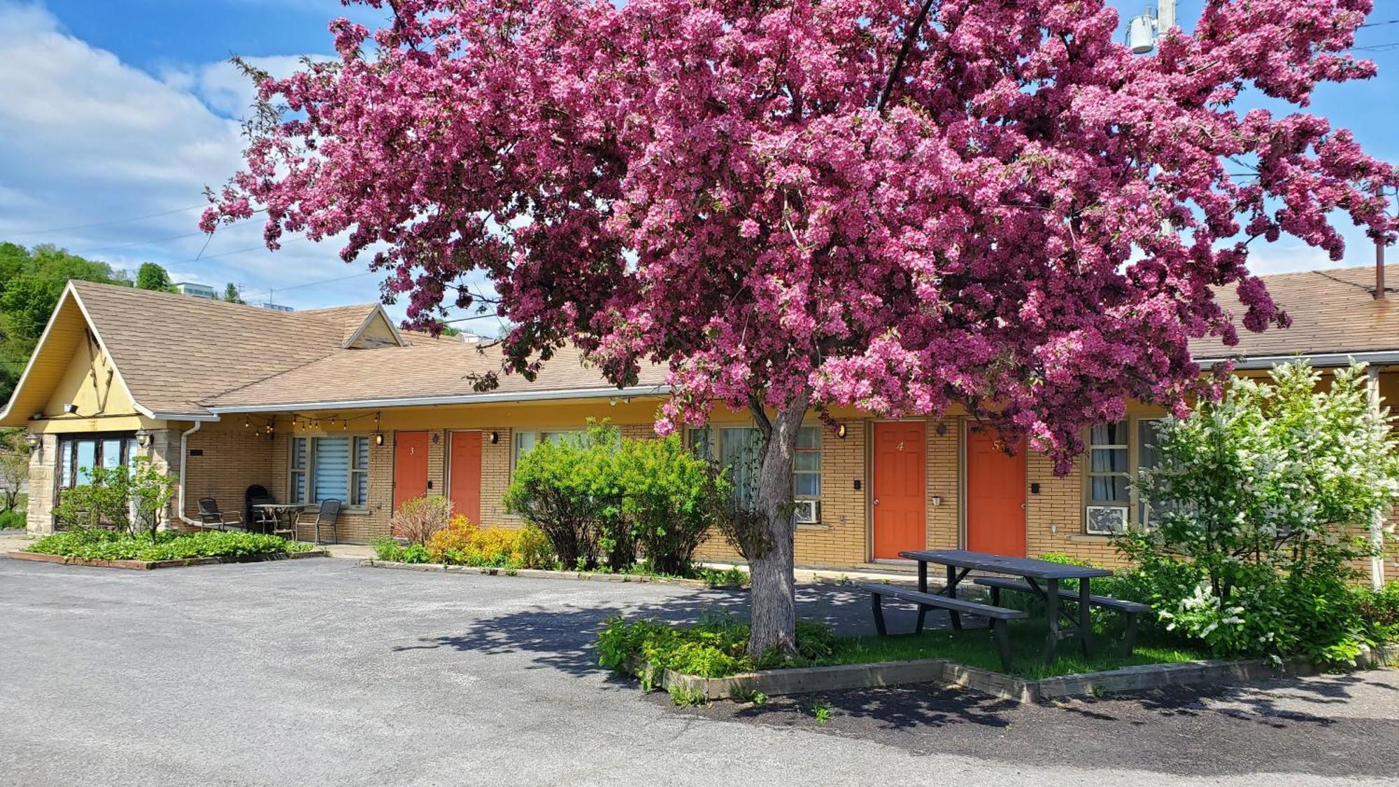 Motel Lofts Fleuve Et Montagnes Sainte-Anne-de-Beaupré Exterior foto